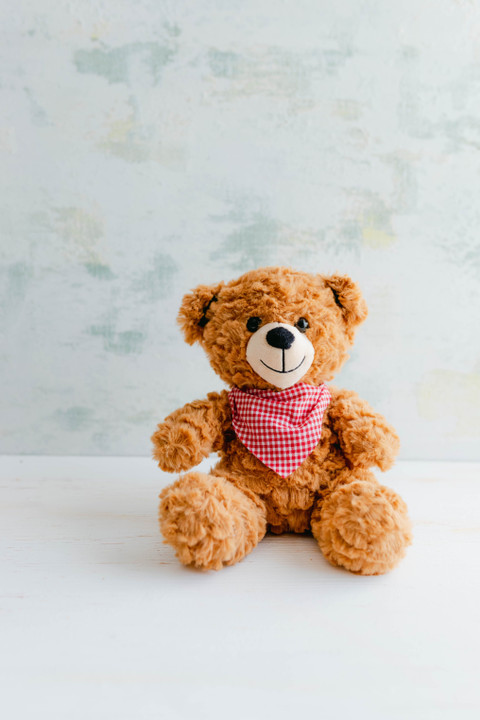 Bandana Teddy