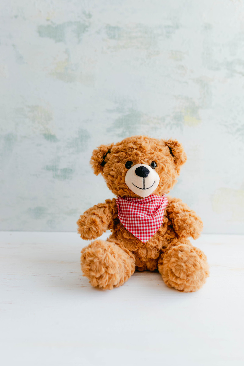 Bandana Teddy