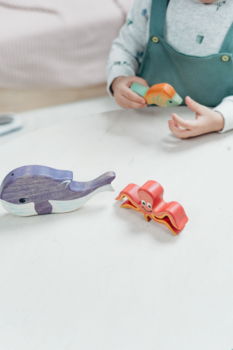 Ocean Friends Set