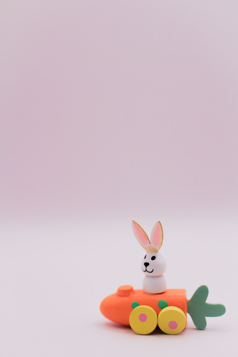 Bunny in a Carrot Car