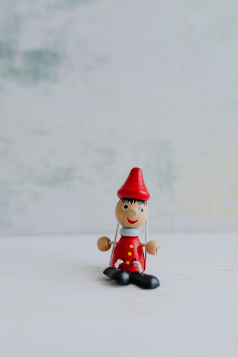 Wooden Garden Gnome
